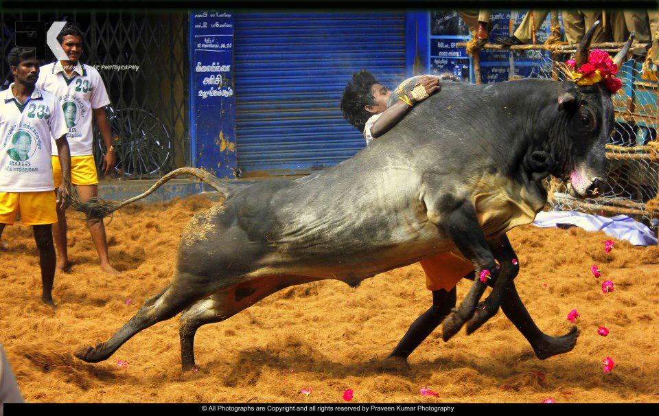 Religious / Spiritual