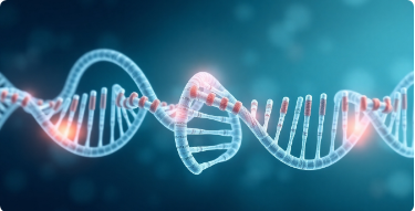 Nanoparticle Research